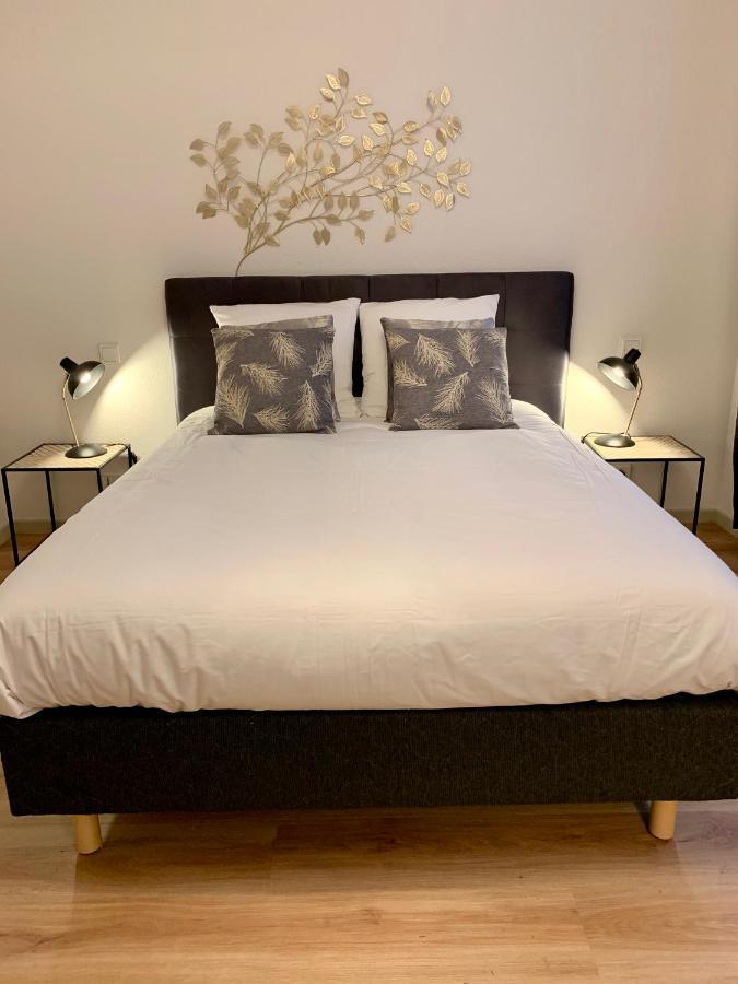 Appartements Des 2 Tetes Colmar Exterior photo