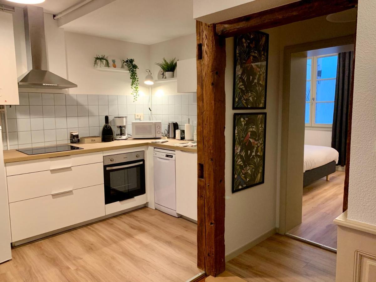 Appartements Des 2 Tetes Colmar Exterior photo