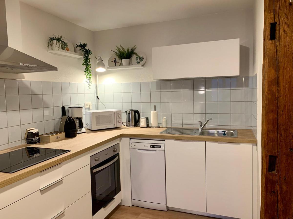 Appartements Des 2 Tetes Colmar Exterior photo
